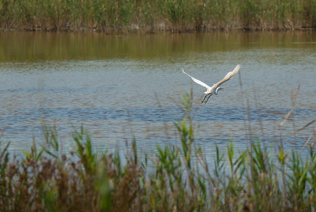 Valgrande Bibione Casone Villa Luaran gambar